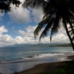 maumere_8088