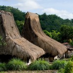 moni-village