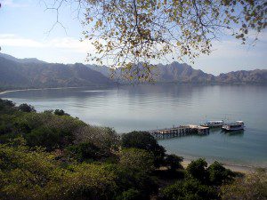 view-point-komodo-island